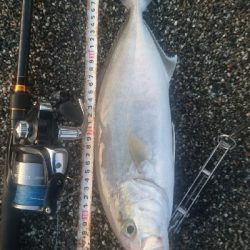 桂浜周辺サーフライトショアジギング