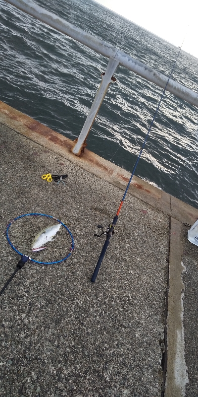 一応3種釣り達成しました