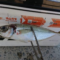 南蛮漬けが食べたい❗