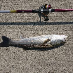 ラストであたり