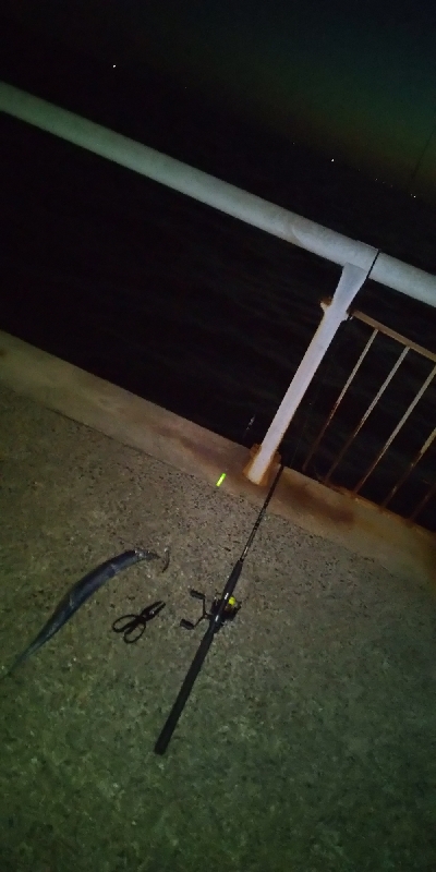 本日活性は低かったです