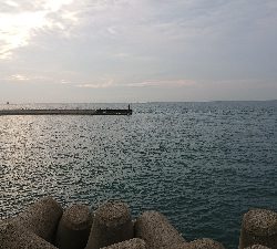 太刀魚は居ませんでしたが、