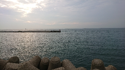 太刀魚は居ませんでしたが、