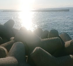 昨日の雨で激渋