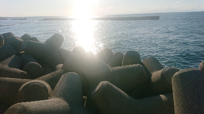 昨日の雨で激渋