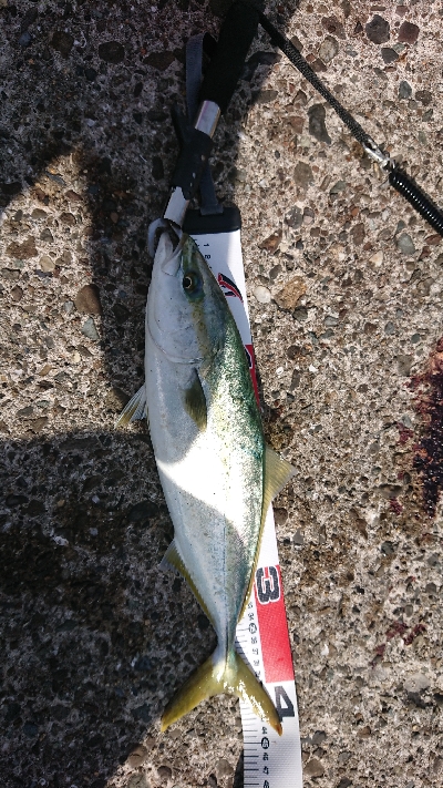 まあまあな結果