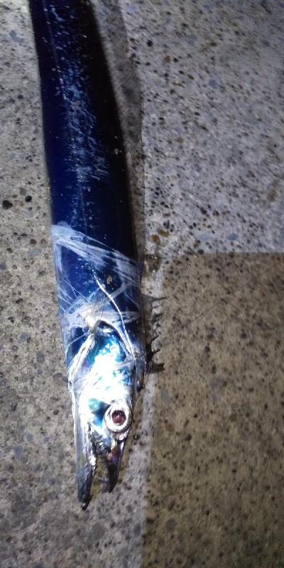 今日もいまいち