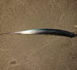 釣れて良かった。