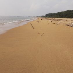 そろそろシーズン終盤かな⁉️