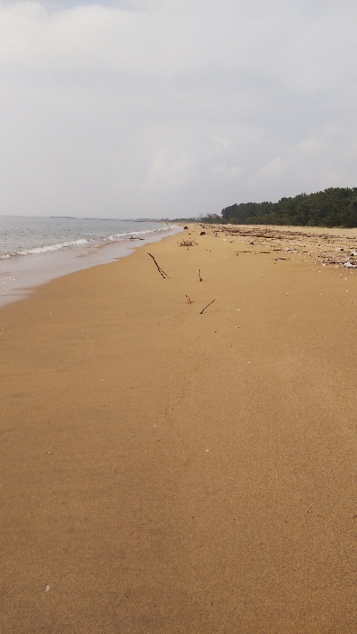 そろそろシーズン終盤かな⁉️