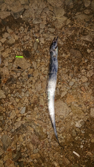 つ抜けならず。