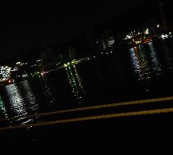 新天地でも太刀魚