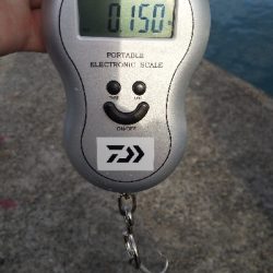 ちょこっとエギング