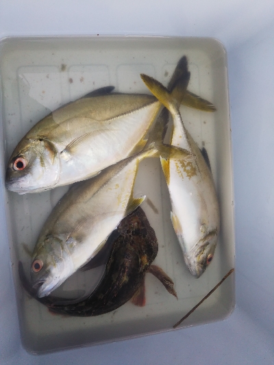 すくすくメッキ