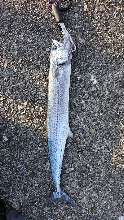 台風の影響は少ないが、、