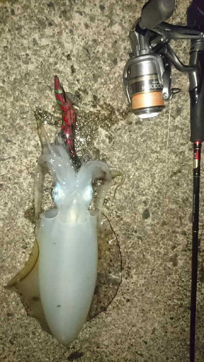 再びマルチヒット!!