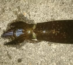 こんなものかな？