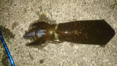 こんなものかな？