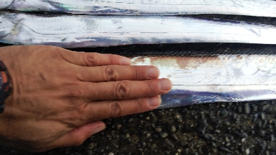 タチウオテンヤ