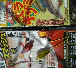 ちょい投げでコブダイ