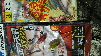 ちょい投げでコブダイ