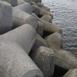 あと少しで尺だった