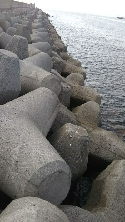 あと少しで尺だった