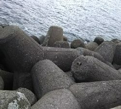 チヌ狙いのはずが