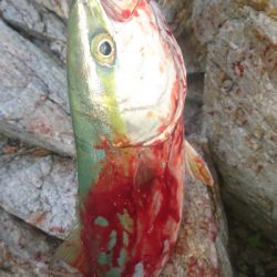 仕事終わりの残業