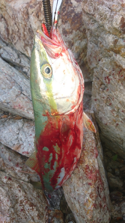 仕事終わりの残業