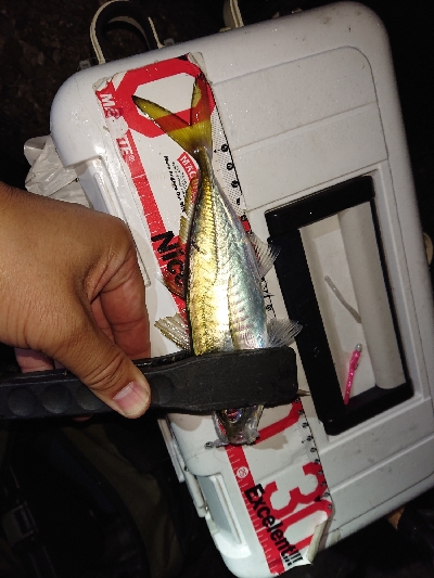 サイズが、のびず