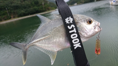 トップゲームのメッキそろそろ終演