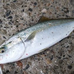 台風後は、、、