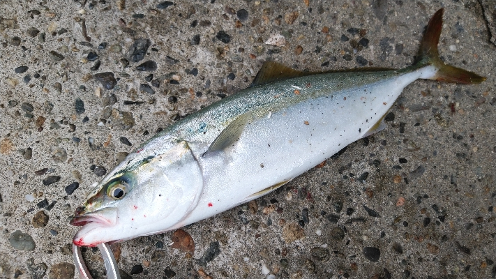 台風後は、、、