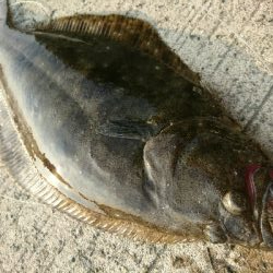 フラット連発❗❗