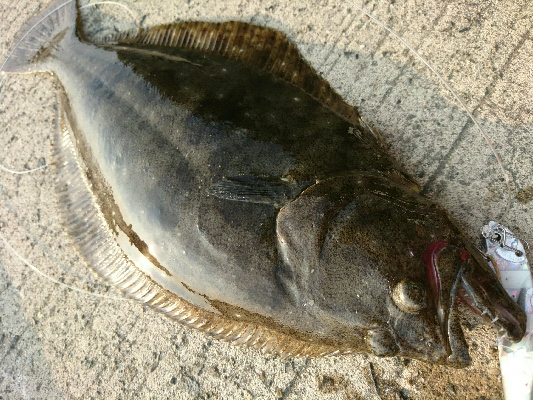 フラット連発❗❗