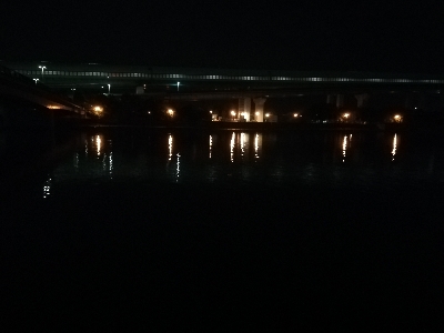 鉄板でタケノコ