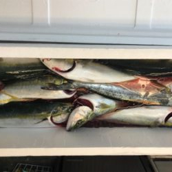 相模湾、横須賀オフショアジギング