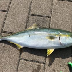 ショアジギングを始めて1年でやっと!!!