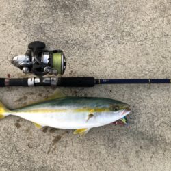 ショアジギング