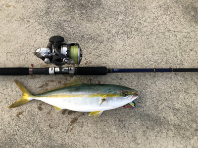 ショアジギング