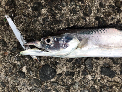 メタルバイブに助けられた^ ^笑