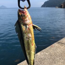 ボトムのペンペン