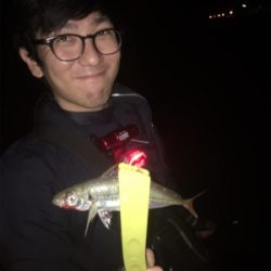 久しぶりのアジングなのに☆GUNNING-STYLE