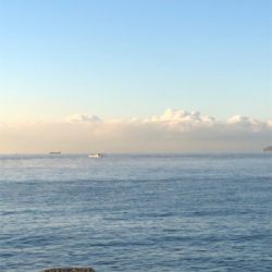 魚が釣りたくて