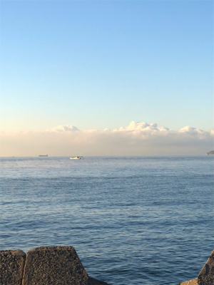 魚が釣りたくて