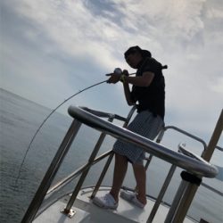 タチパターン オーシャンスター