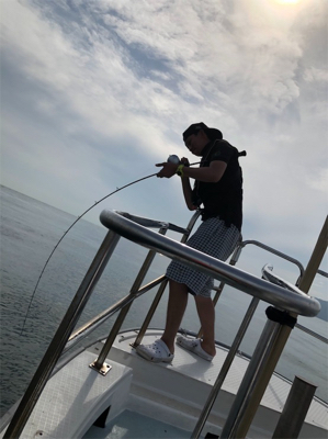 タチパターン オーシャンスター