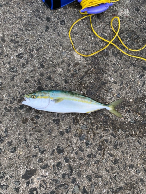 ショアジギング