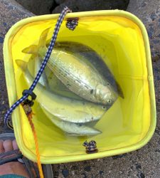 ジギングサビキ恐ろしや